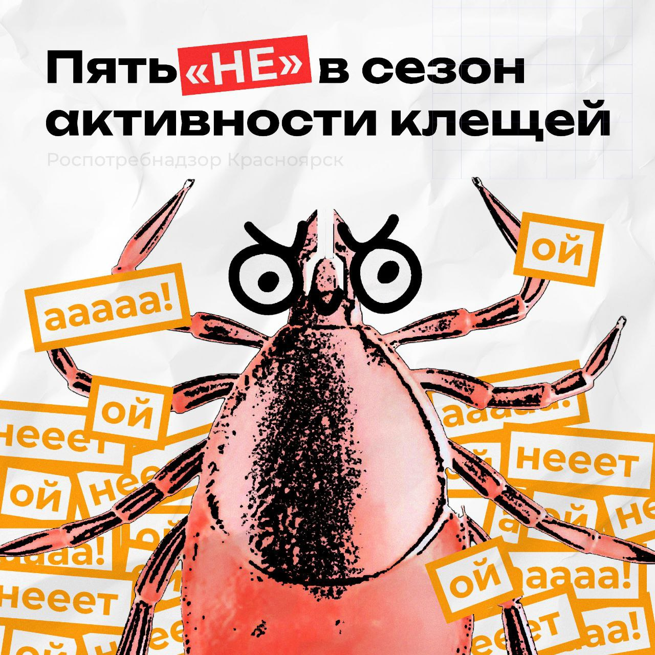 5 &quot;НЕ&quot; в сезон активности клещей.