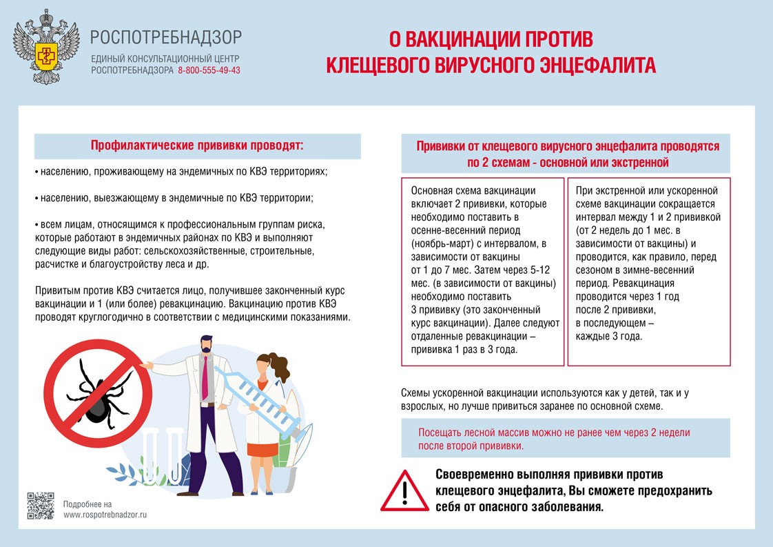 О вакцинации против клещевого вирусного энцефалита.