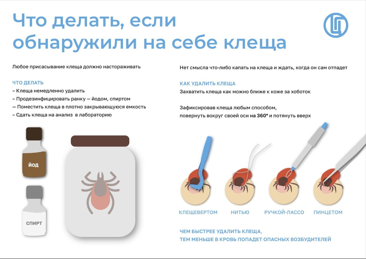 Что делать, если обнаружили на себе клеща.