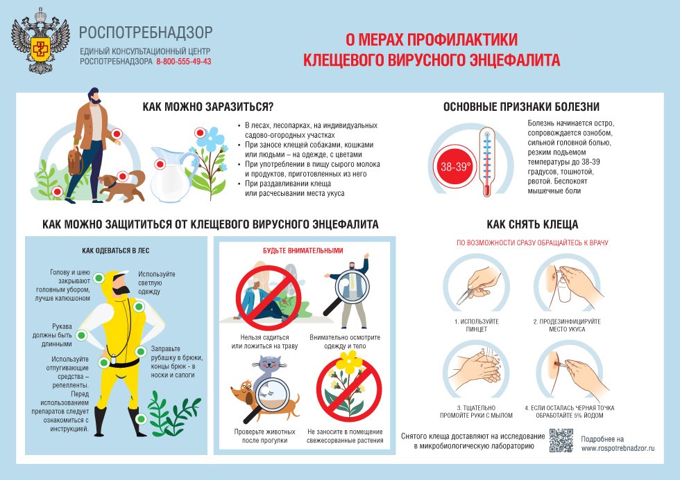 О мерах профилактики клещевого вирусного энцефалита.