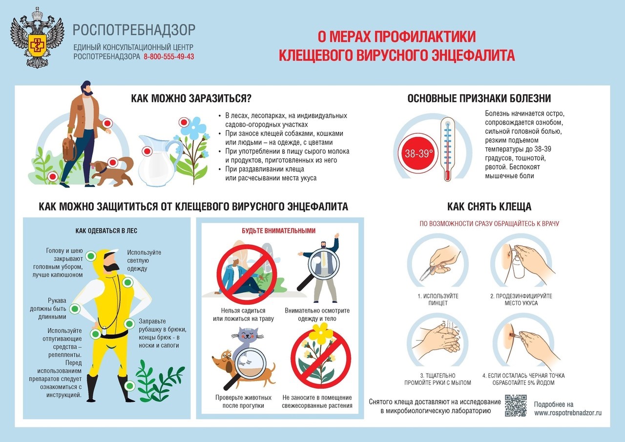 О мерах профилактики КВЭ.