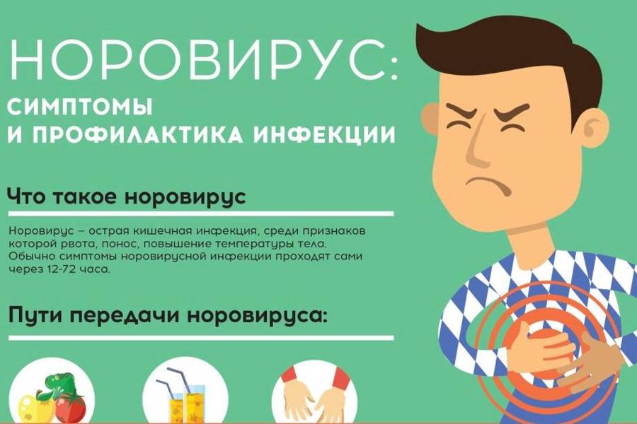 Норовирусная инфекция, меры ее профилактики.