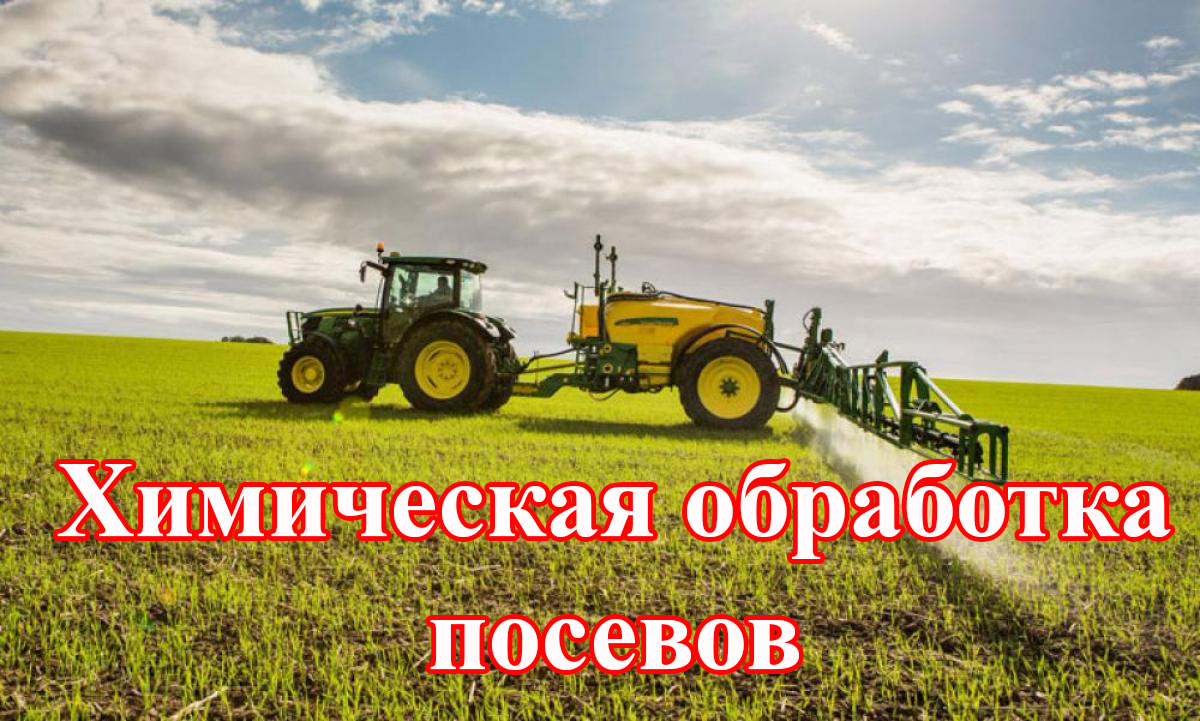 Оповещение.