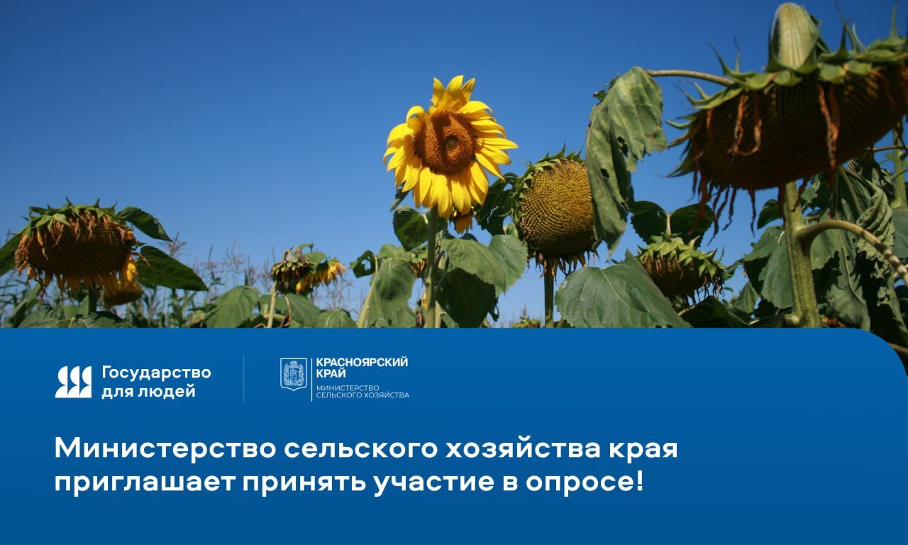 Уважаемые граждане!.