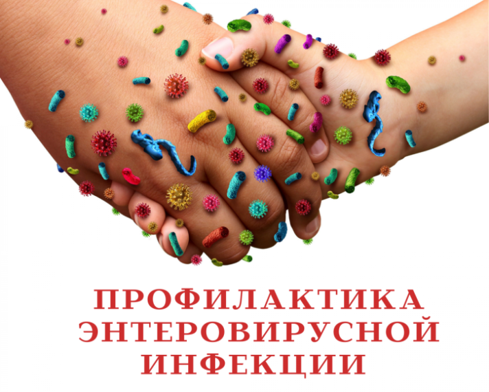 Профилактика энтеровирусной инфекции. Профилактика энтеровирусной инфекции.
