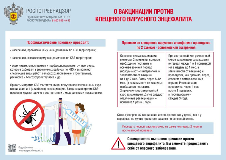 О вакцинации против клещевого вирусного энцефалита. О вакцинации против клещевого вирусного энцефалита.